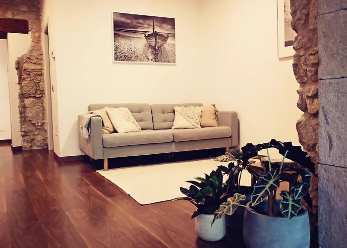 The Riverside Cozy And Spacious Apartament Girona